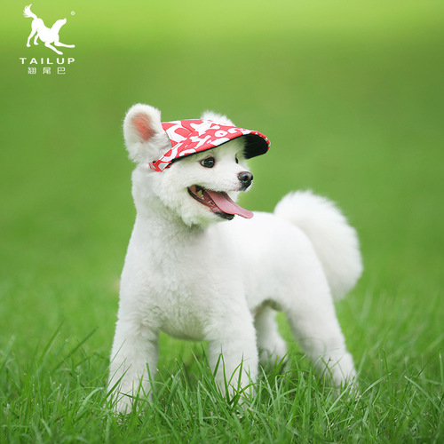 Pet supplies cross-border direct supply new fashion Oxford cat and dog clothing hats baseball caps outdoor travel sun hats