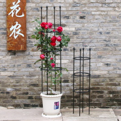 Clematis Climbing Trellis Iron Wire Rose Plant Vine Flower Support Garden Decorations One-off Shipping