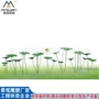 广场景观植物艺术雕塑