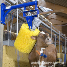 ţ�wˢȫ�Ԅ�ëˢ݁��Wֹ�W����ëˢ��ţ��Ħ�����坍ˢ�S�����l