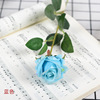 Realistic layout, decorations suitable for photo sessions, roses