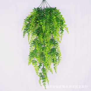 Cross -border simulation plant wall -mounted Persian vine -striped flower vine home house decorative plastic flower wall green leaves with green leaves