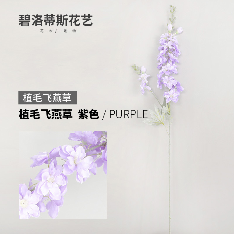 보라색