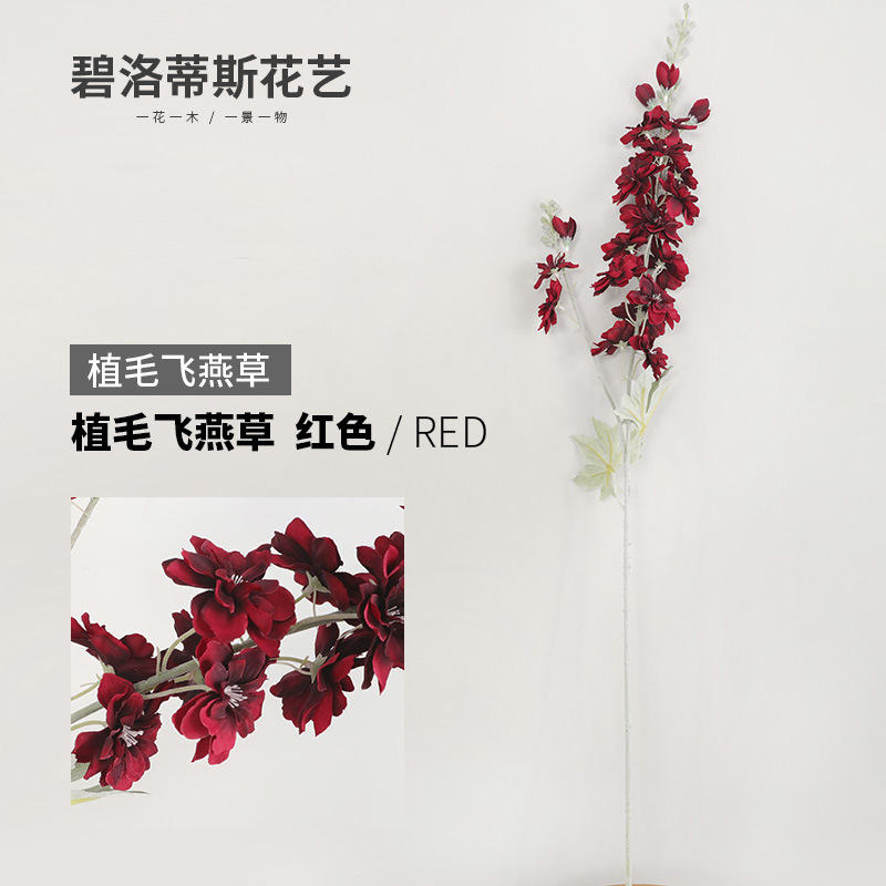 레드