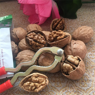 ���� �½��خa���b500��չ��������؛�͊A�� �Թ� ��Ƥ����