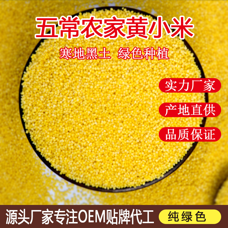 Yellow millet farm millet porridge monthly rice bulk 500g wholesale rice fat millet cereal factory wholesale