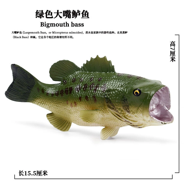PL127-478 sea bass
