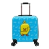Blue duck