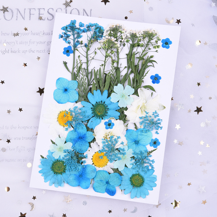 섹션 C (꽃 10 개, 총 35 개)