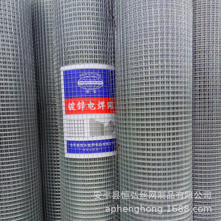 低碳钢丝电焊网 热镀锌电焊网  养鸡养鸭菜地围栏防护网