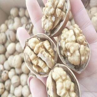 ���l�½����� �����K185��Ƥ���� �����ք����Ҵ��b500g�ؔ�؛Դ