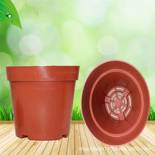 ���⻨�� �A��С���� �tɫ���ϻ������������ �W�ױ� ���ϻ�����