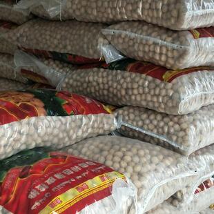 ���l�½������ ���185��Ƥ���� �������l������������ ��ϵ