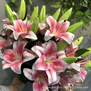 Realistic wedding flowers, photography props for home use, artificial flowers