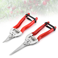 Wholesale fruit branch shears, garden pruning and gardening shears, agricultural fruit picking shears, fruit shears, grape thinning shears