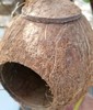 Wholesale coconut shell bird nest Bird cage breeding box peony tiger leather parrot pet wood house pet supplies