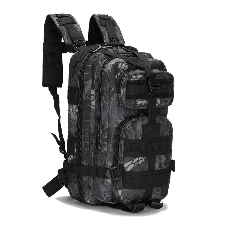 Capacious backpack