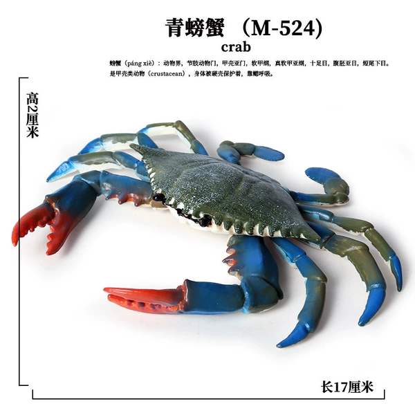 PL127-524 Green Crab