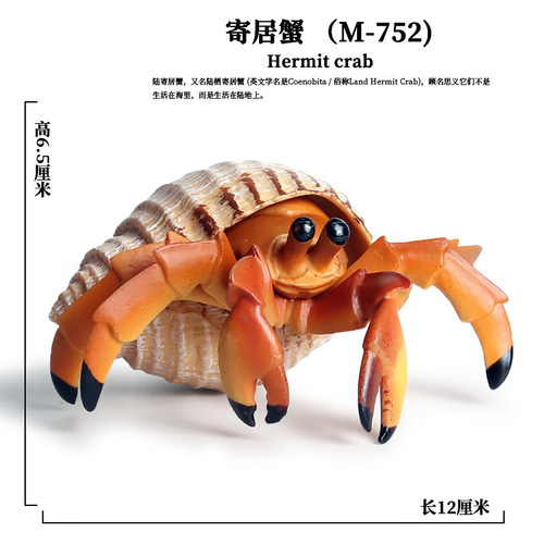 Children's simulated real-life static marine life model crab hermit crab king crab shrimp plastic toy ornaments