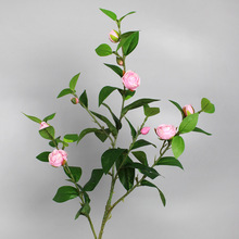 �²軨���滨 �nʽ��õ�ٻ�5�^�軨�͏d�����[����ؼҾ��b�õ��