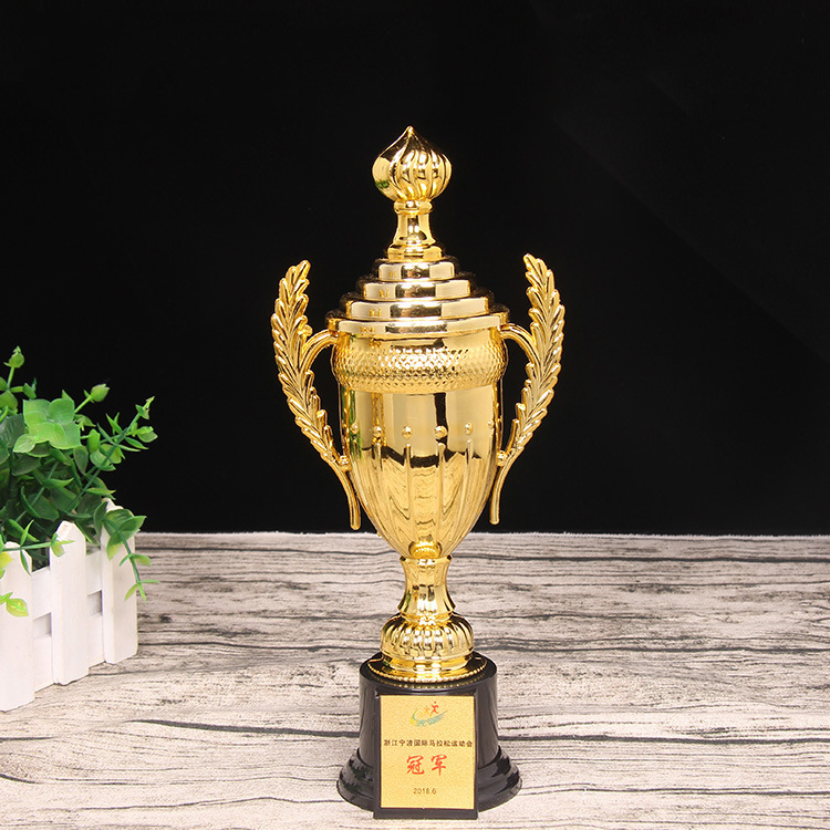 Trofeo de plástico Honor, premio creativo de metal para deportes escolares, danza, Shenmo, con logotipo personalizable, etiqueta, antorcha conmemorativa