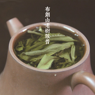 2016���紺����ɽ���Օ��༃����φ�ľ�Ϙ�ɢ���ն�����150�˴�