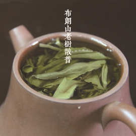 2016年早春布朗山生普晒青纯料云南乔木老树散茶普洱生茶150克袋