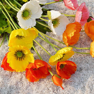 Simulation Yu Meiren Mao Zhi Single Branch Mini Poppy Flower Fake False Fake Flower Home Furnishing Furnishing Wedding Photography Flower
