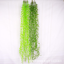 �羳����ֲ��ڒ��ȼ����ٗl�ٻ������Ҿ��̵��b����ϻ������