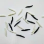 万圣节搞怪吓一跳软胶虫子
