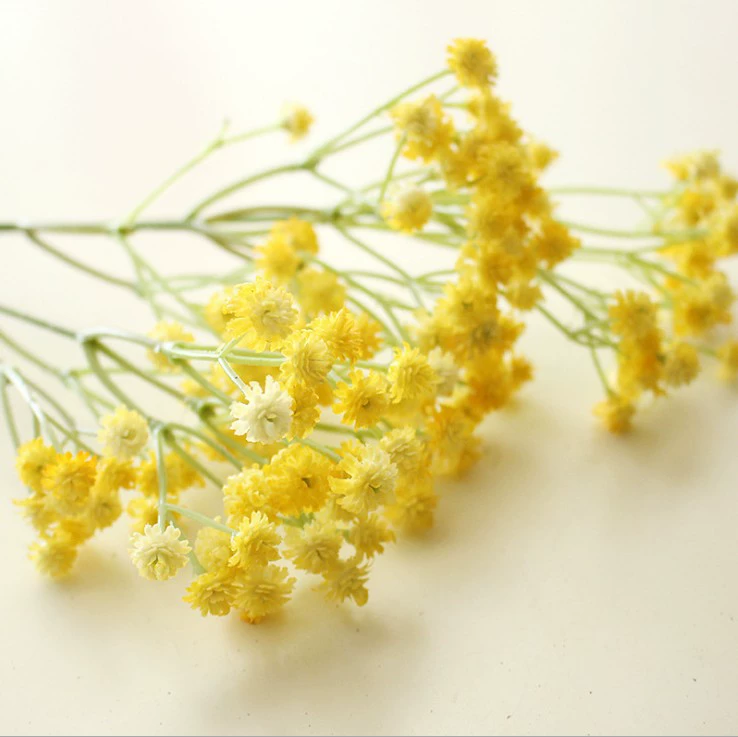 ПУ мягкая резиновая текстура, небольшой свежий заводской Baby's Breath, оптом искусственные цветы, пластиковые цветы для дома, свадьба