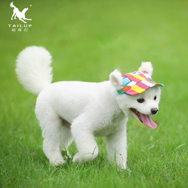 Взрывной цвет питания холст собака шляпа маленький большой плюшевый колпачок Мода животное Поставляет завод питания