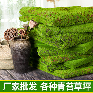 Plant wall simulation of moss green fake moss moss Micro -landscape bonsai landscaping decorative materials