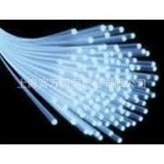 OFS���wEZ Fiber EZ-Bend TmDF200 BF05635-02 980-16 F85338