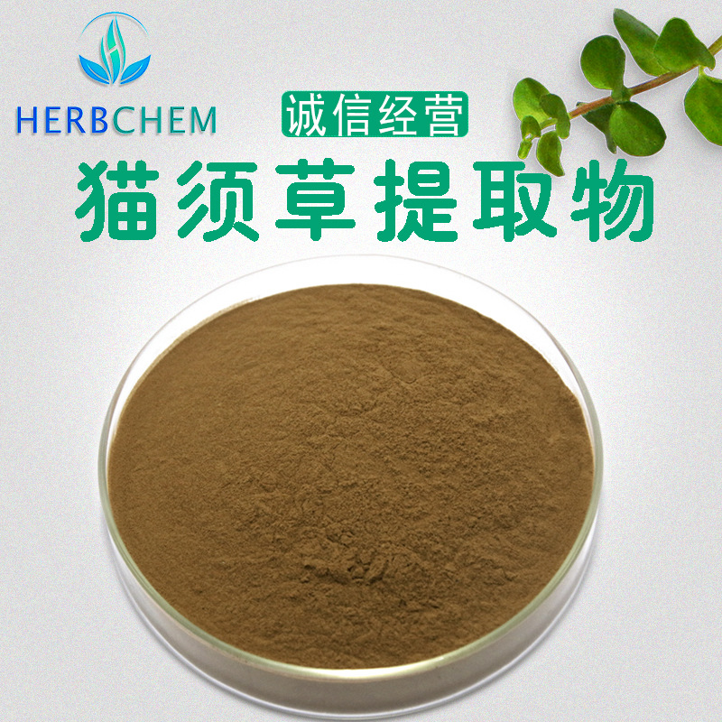 猫须草提取物30:1 源头工厂现货供应   猫须公 猫须草原料粉