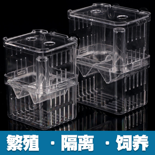 Fish home juvenile fish hatching box double-layer isolation box fighting fish box isolation net hanging incubator female fish spawning and breeding