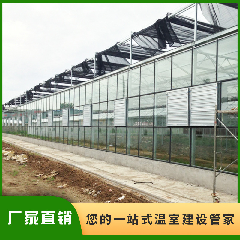 连栋玻璃温室大棚材料 提供设计方案 农业透光性好 连栋温室大棚