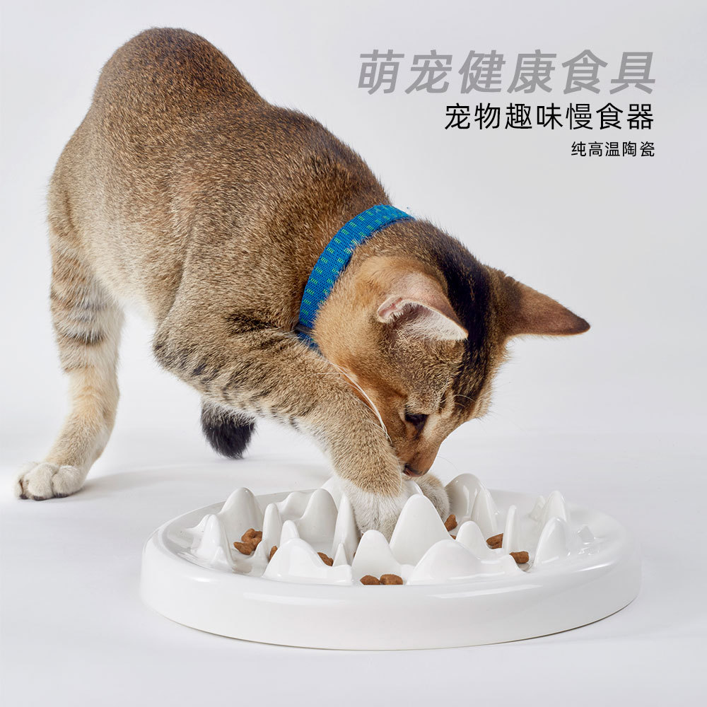Ceramic Anti-Skid Anti-Choke Slow Eating Pet Bowl 2