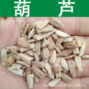 Gourd Seeds, Gourd Seeds, Gourd Shells, Gourd Seeds, Large Gourd, 1 Piece = 0.5kg