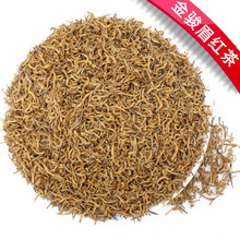 2025���Eü�²� ��ѿ����Sѿ �����t�����l ���Eü���~ ���tᘡ�