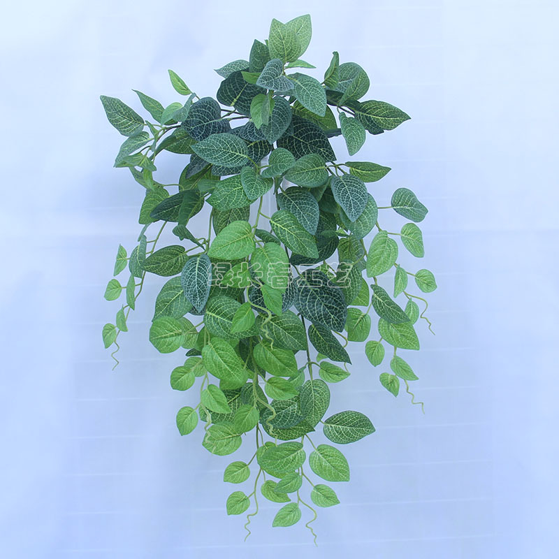 绿长春仿真植物墙网叶眼眉挂壁装饰壁挂花藤蔓吊篮家居摆设花艺