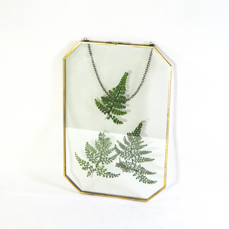 Glass Photo Frame Hanging Decoration Octagonal Copper Laminated Glass Photo Frame Dried Flower Specimen Clip European Style Furniture Ornaments Glass Photo Frame Hanging Decoration Octagonal Copper Laminated Glass Photo Frame Dried Flower Specimen Clip European Style Furniture Ornaments