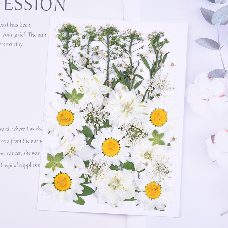 D (꽃 재료 8 개, 합계 36 개) 꽃 재료가 바뀌었습니다