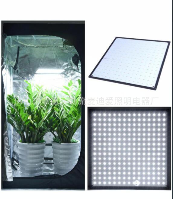 225LED (luz blanca)