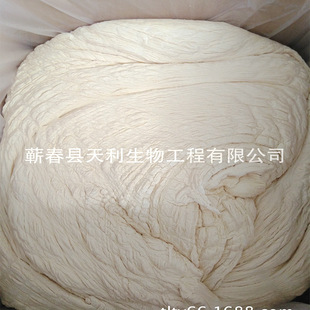 25���b��ѿ�� ��� ���� ���ǏS���N��