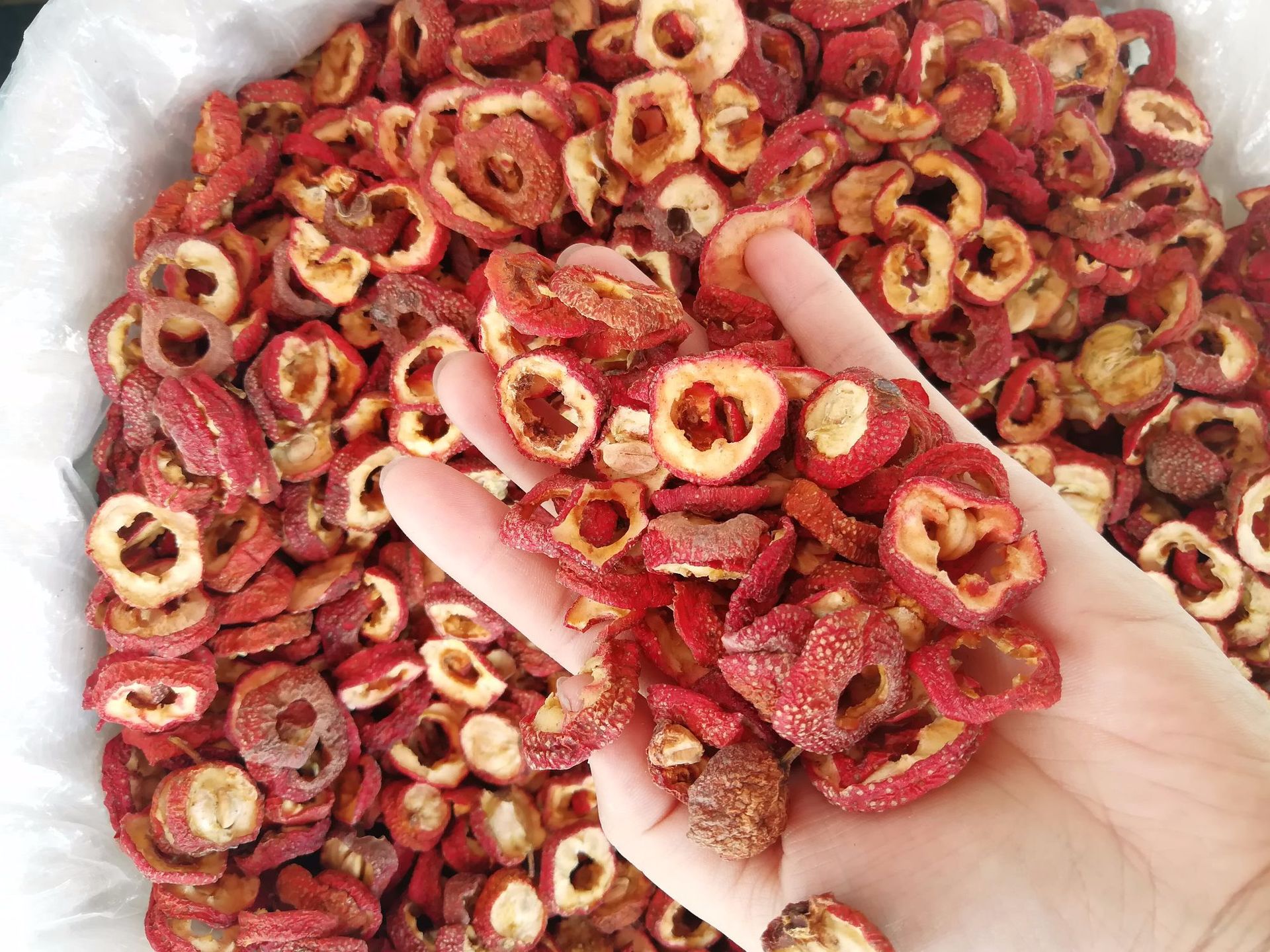 폭발적인 호손 서클