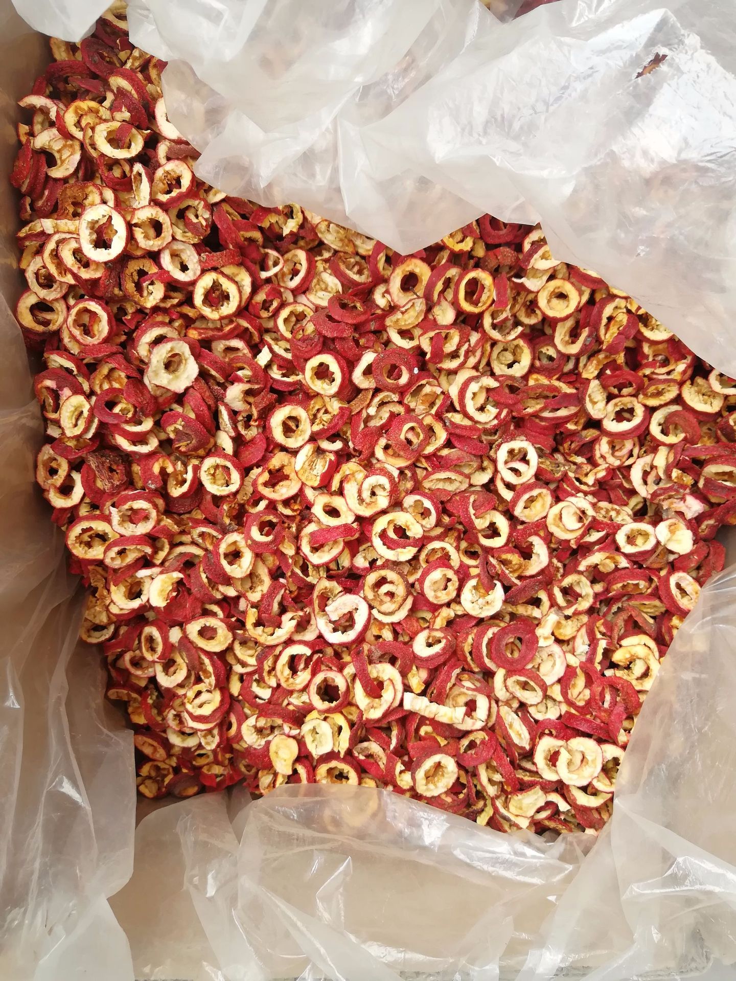 선택된 센터 서클