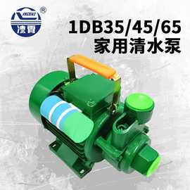 广东凌霄水泵1DB35/45/65家用自吸清水泵增压泵220v抽水机
