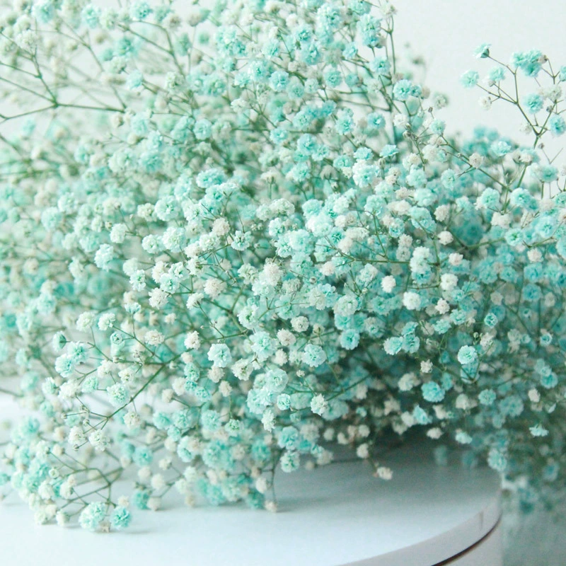 Высококачественные сухие цветы из baby's breath 400 г фабрика Рапсоди Iros натуральный букет сухоцветов оптом