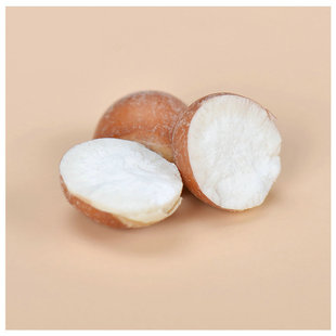 �F؛���l�ؑc�_߅�͌��׸�؛�tƤ���͌�����10���u�^�׏V�|�͌�